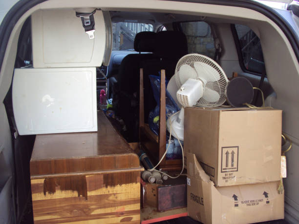 Best Attic Cleanout  in Mount Vernon, AL